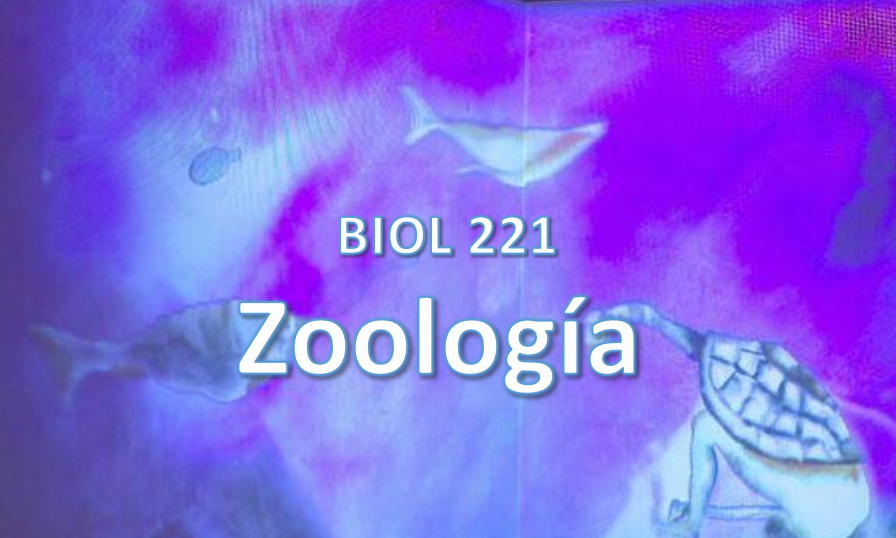 BIOL221_102_20973_A_H_202620